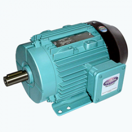 Low Voltage AC Motors