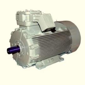 Cast Iron Motor