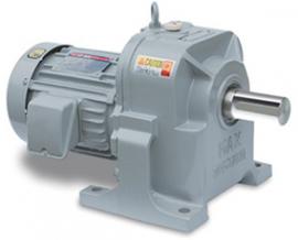 Gear Motor