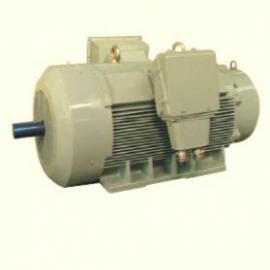 Slipring Motor