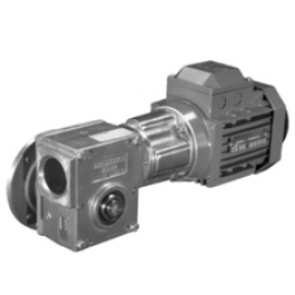 ĐỘNG CƠ GIẢM TỐC TRỤC VÍT - SERIES BS